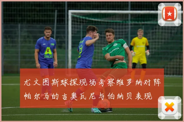 尤文图斯球探现场考察维罗纳对阵帕尔马的吉奥瓦尼与伯纳贝表现