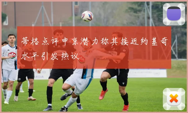 蒂格点评申京潜力称其接近约基奇水平引发热议