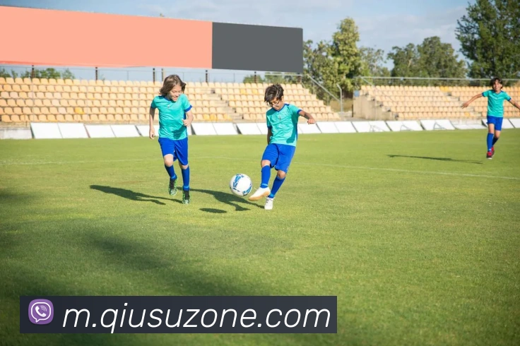 App Interface Preview